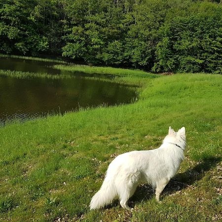 Gite Le Domaine D Orphee Marmagne  Luaran gambar