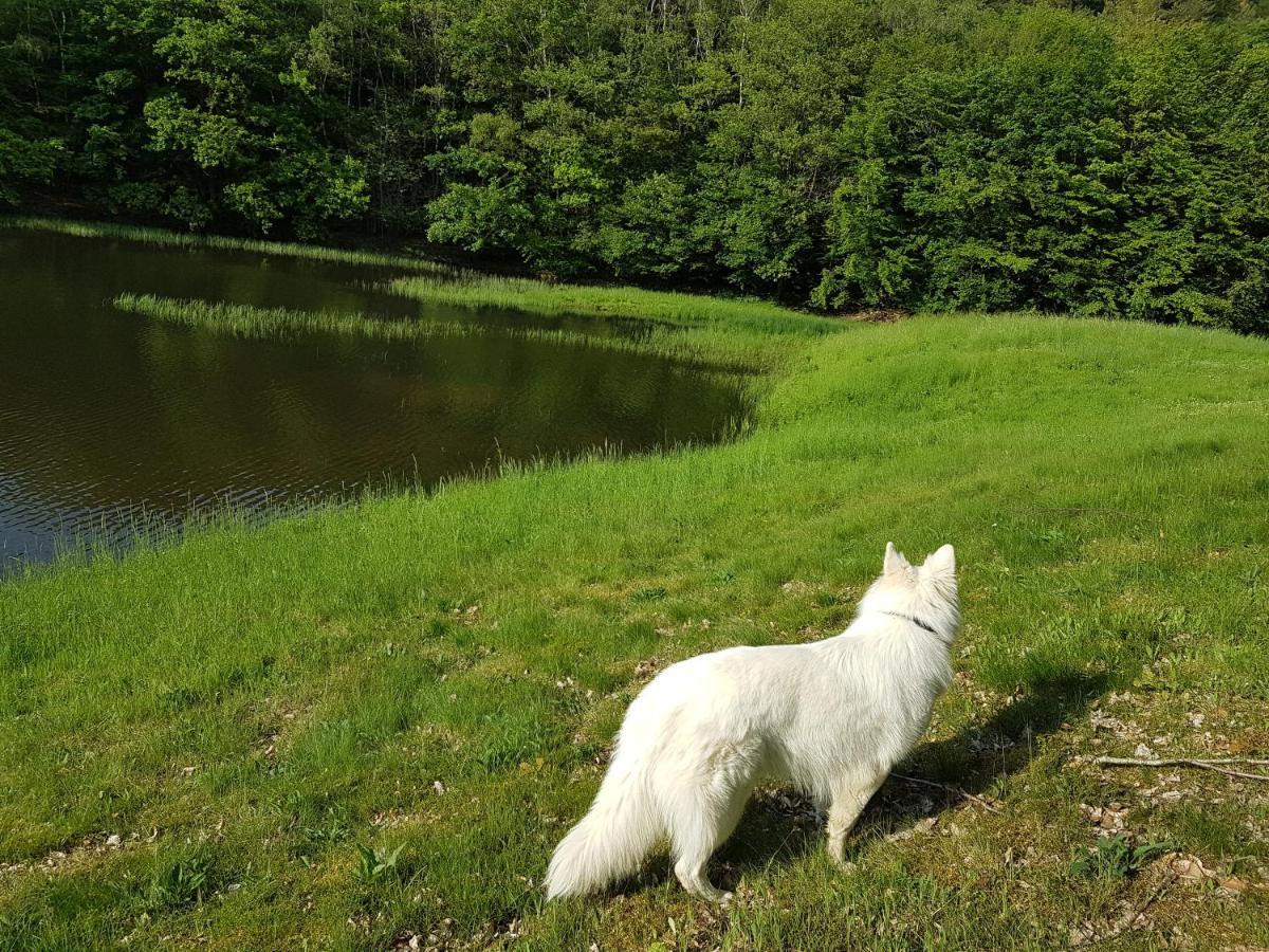 Gite Le Domaine D Orphee Marmagne  Luaran gambar