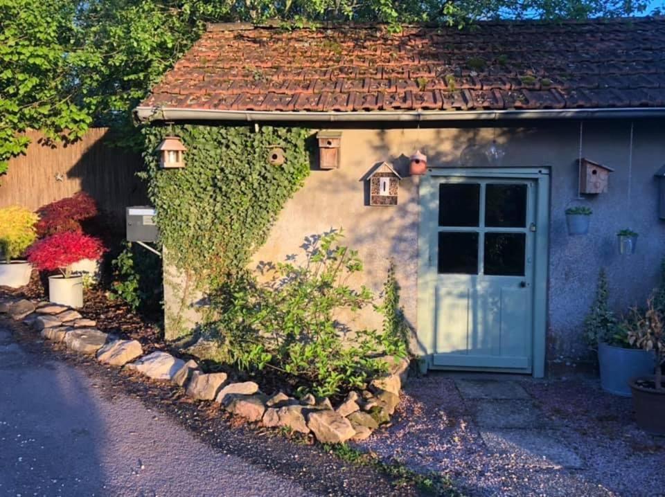 Gite Le Domaine D Orphee Marmagne  Luaran gambar